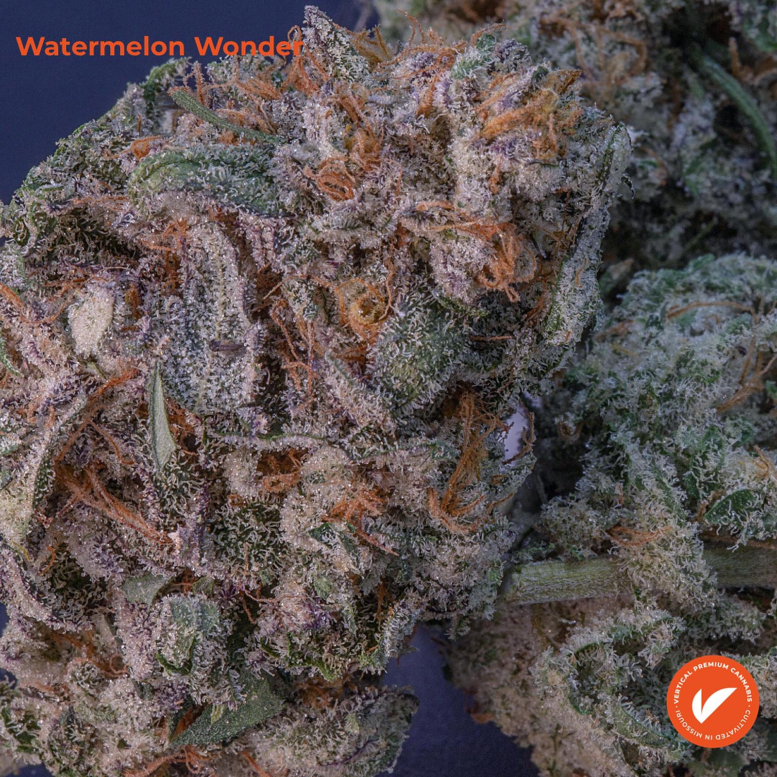 Watermelon Zonkers Strain - gg7pk9n