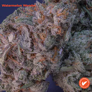 Photo of Watermelon Wonder