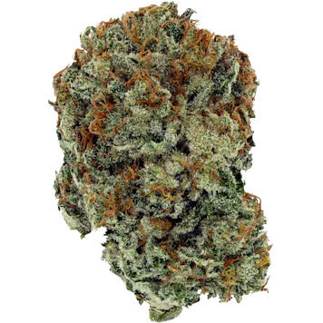 Photo of Golden Grape - 3.5g Flower - Manitoba