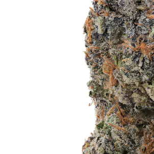 Photo of Jet Fuel Pie High THCa Hemp Flower