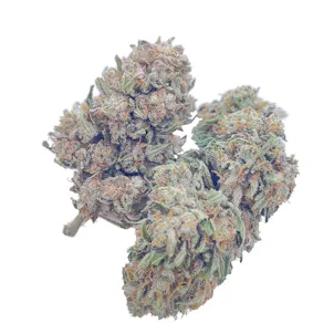 Photo of Orange Cream CBG