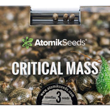 Photo of Critical Mass feminized cannabis seeds
