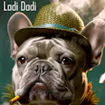 Lodi Dodi - Premium Flower