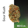 Product image for Sour Kush