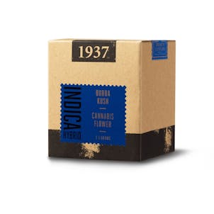 Product image for 1937 - Bubba Kush