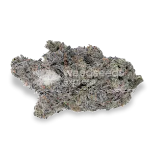 Photo of Gush Mints Feminized Seeds