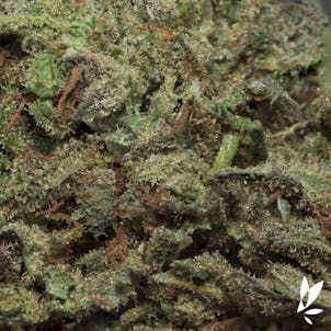 Photo of Swami's Sativa