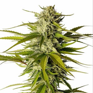 Photo of Break-Up Cake