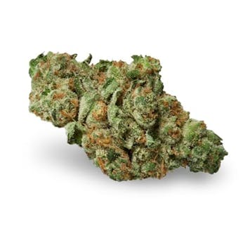 Photo of Kryptonite Feminized