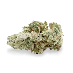 Photo of Gelato Autoflower Seeds