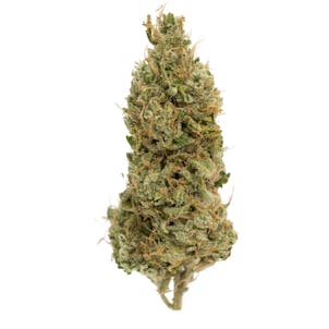 Photo of Buddha Tahoe