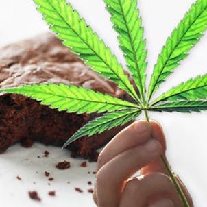 Photo of Cannabis Cooking Certification Program