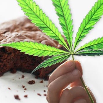 Photo of Cannabis Cooking Certification Program