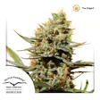 Product image for The Edge