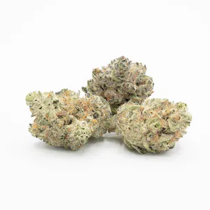 Photo of Bruce Banner 1g Flower