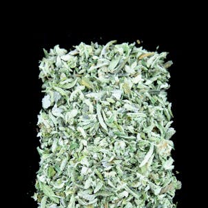 Product image for Tree Octopus Shake