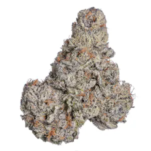 Photo of GMO x Mai Tai Flower