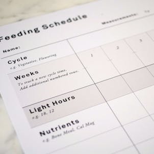 Photo of Blank Feeding Schedule / Wall Chart For Cannabis Growers - Poster Size Print