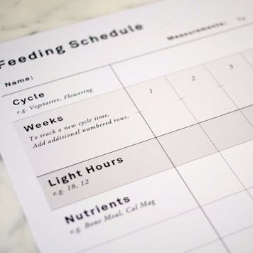 Photo of Blank Feeding Schedule / Wall Chart For Cannabis Growers - Poster Size Print