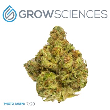 Photo of Triangle Lemons (3.7)