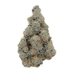 Photo of Gush Mintz 7G Smalls