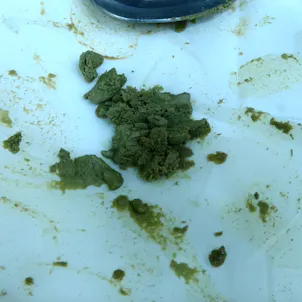 Photo of Making Extracts at Home Video Guides & Tutorials for Beginners (2 Week FREE Trial)