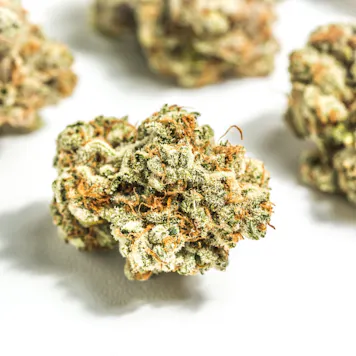 Photo of 9 Pound Hammer