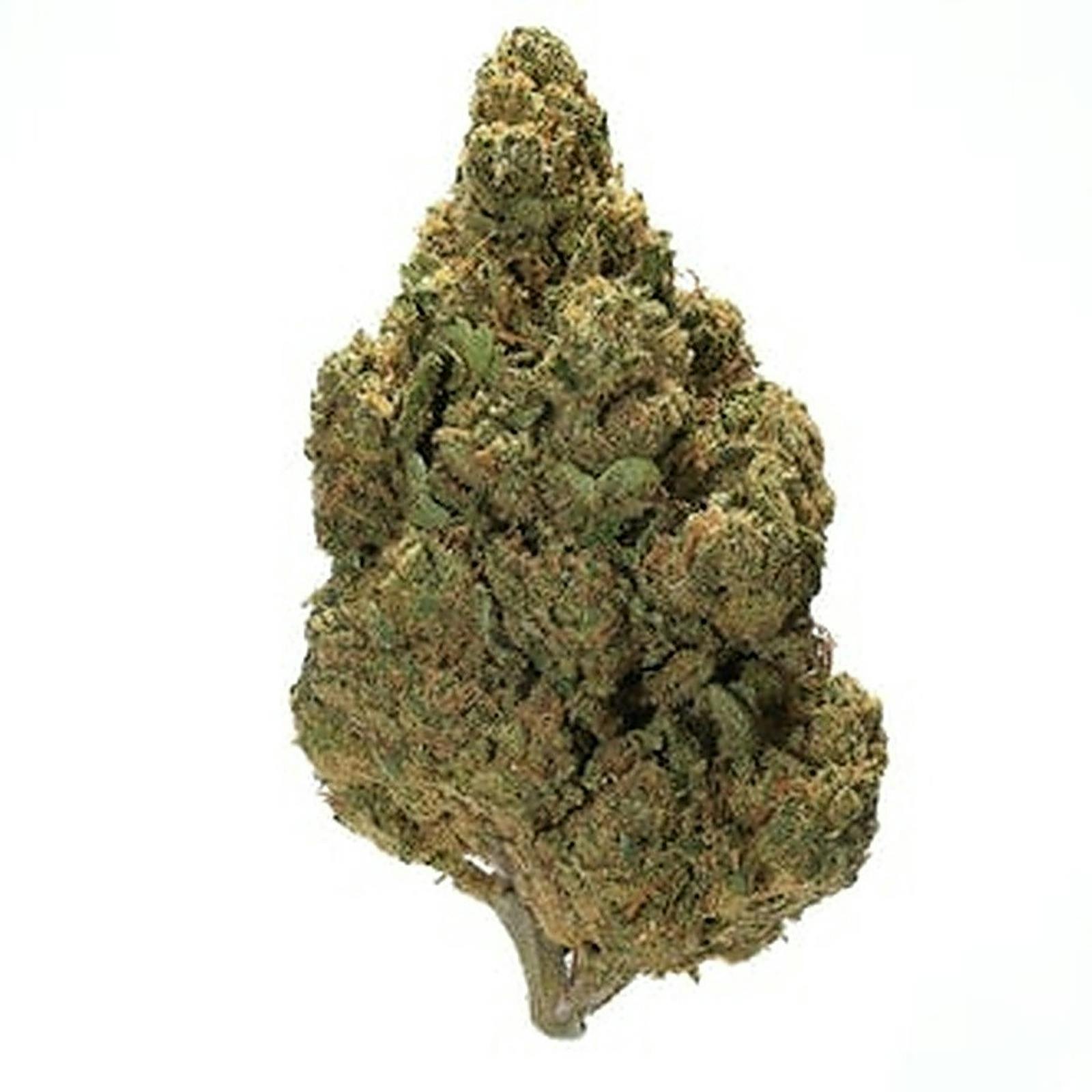 Black Tie CBD HARLEQUIN INDOOR Hemp Flower Leafly