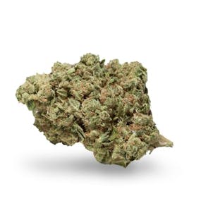 Photo of Limoncello Haze Feminized