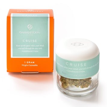 Product image for CRUISE 232 — Iced Cherry Cookies