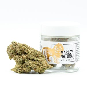 Photo of Marley Studio: Superglue