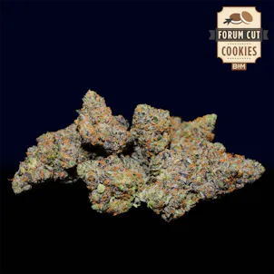 Photo of Forum Cut Cookies