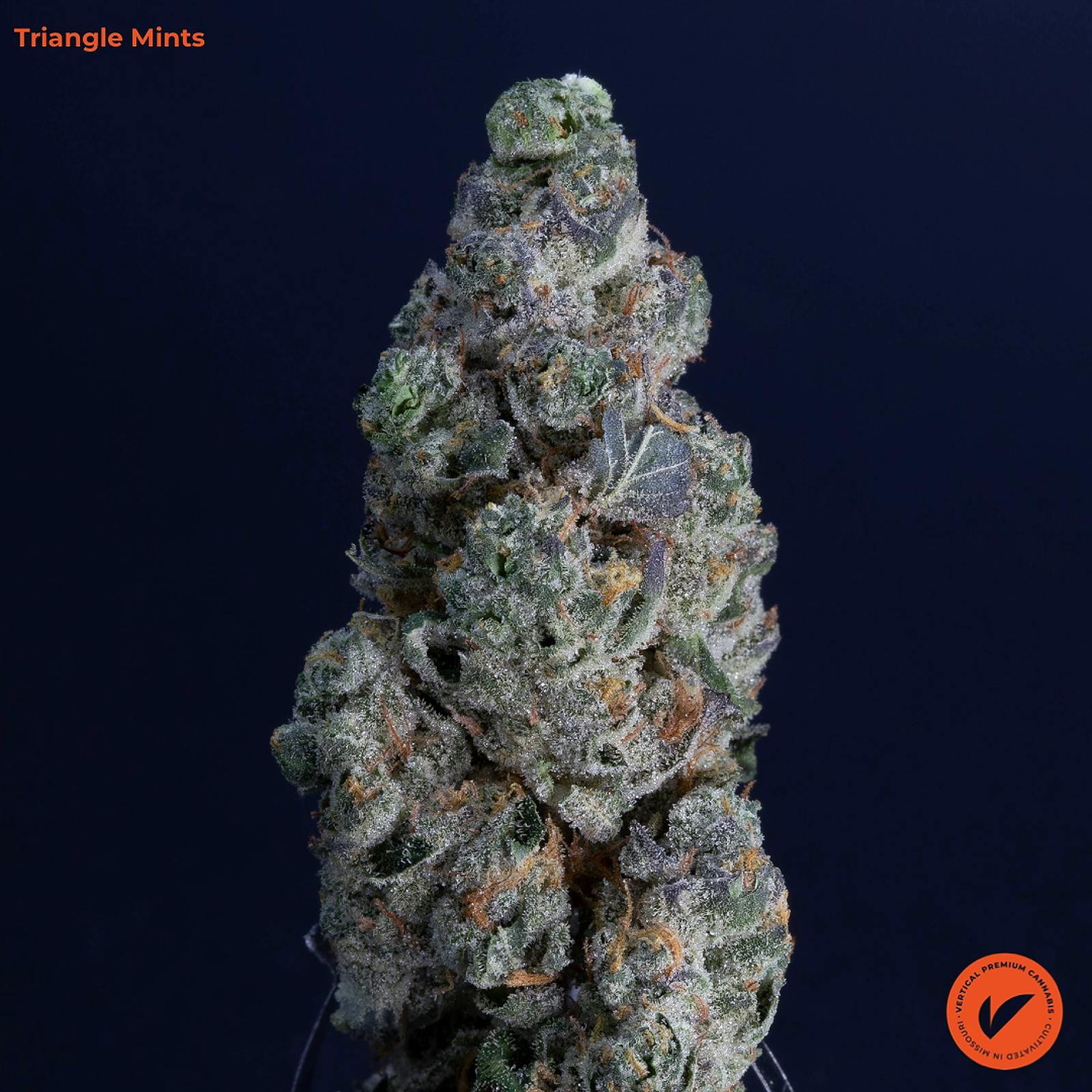 Vertical Cannabis Triangle Mints Leafly