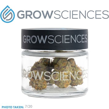 Photo of Puddles (3.7)