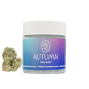 Photo of Sweet ZZZ's CBD Premium 3.5g Jar - Indica