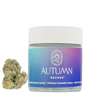 Photo of Sweet ZZZ's CBD Premium 3.5g Jar - Indica