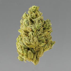 Photo of Pacific OG