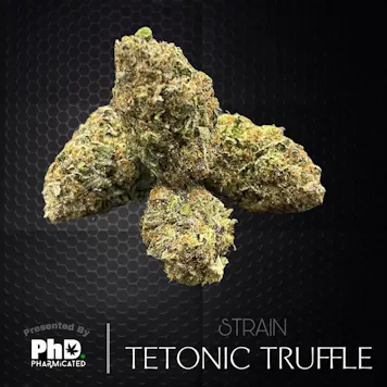 Photo of PhD Indoor Flower - Tectonic Truffle