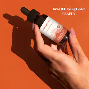 Photo of Plant Power 1200mg Full Spectrum CBD Oil: Orange | Cinnamon | Ginger