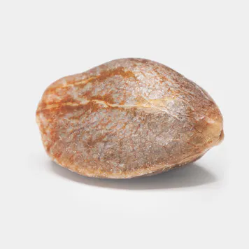 Photo of ACID