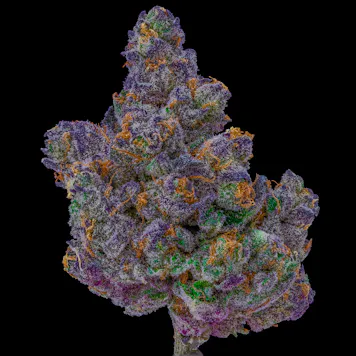 Photo of Apple Fritter