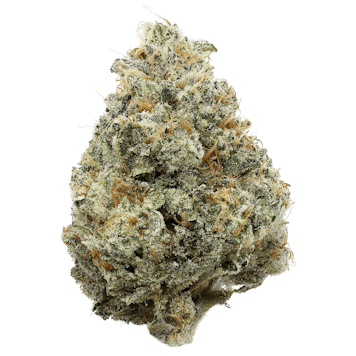 Photo of Mocha OG - 3.5g Flower - Alberta