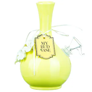 Photo of My Bud Vase "Phoebe" Water Pipe