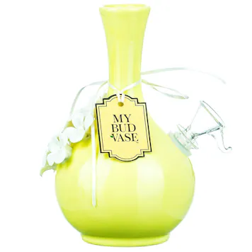 Photo of My Bud Vase "Phoebe" Water Pipe