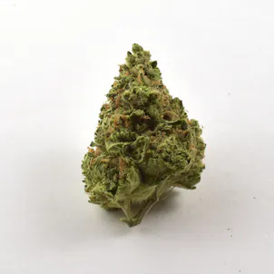 Photo of Mt. Hood Magic Flower