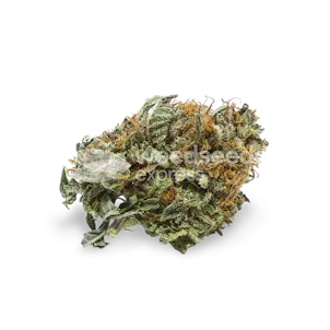 Photo of Master Kush Regular Seeds