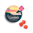 Product image for 25mg Camino 'Bliss' Watermelon Lemonade High Dose Gummies 500mg Total