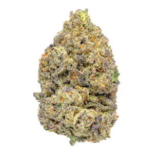 Photo of Lemon Cherry Gelato - 3.5G Top Shelf Indoor Flower