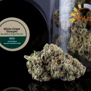 Photo of White Grape Stomper