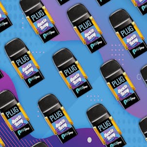 Photo of PLUGPLAY™ | PLUG™ Pod | Washington | Huckle Berry | 1g